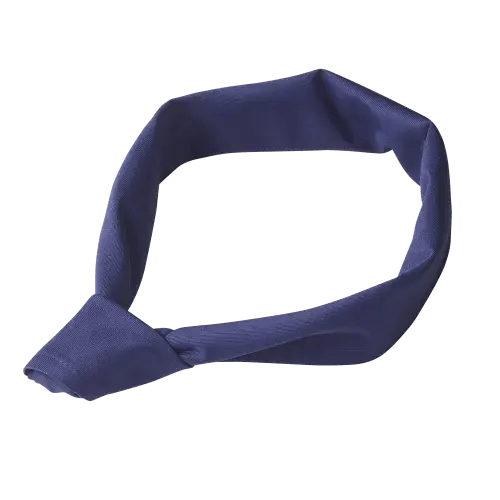 gastro_topping_cws_paris_line_neckerchief_dark_blue png