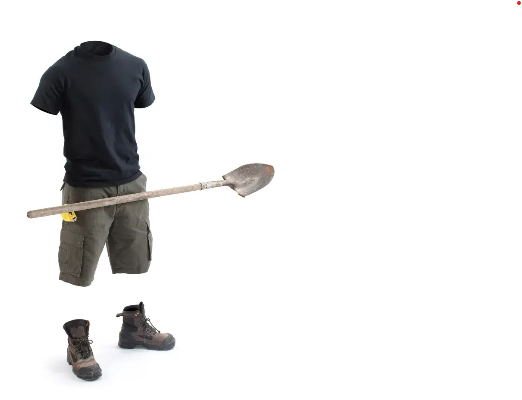 Entity reference image