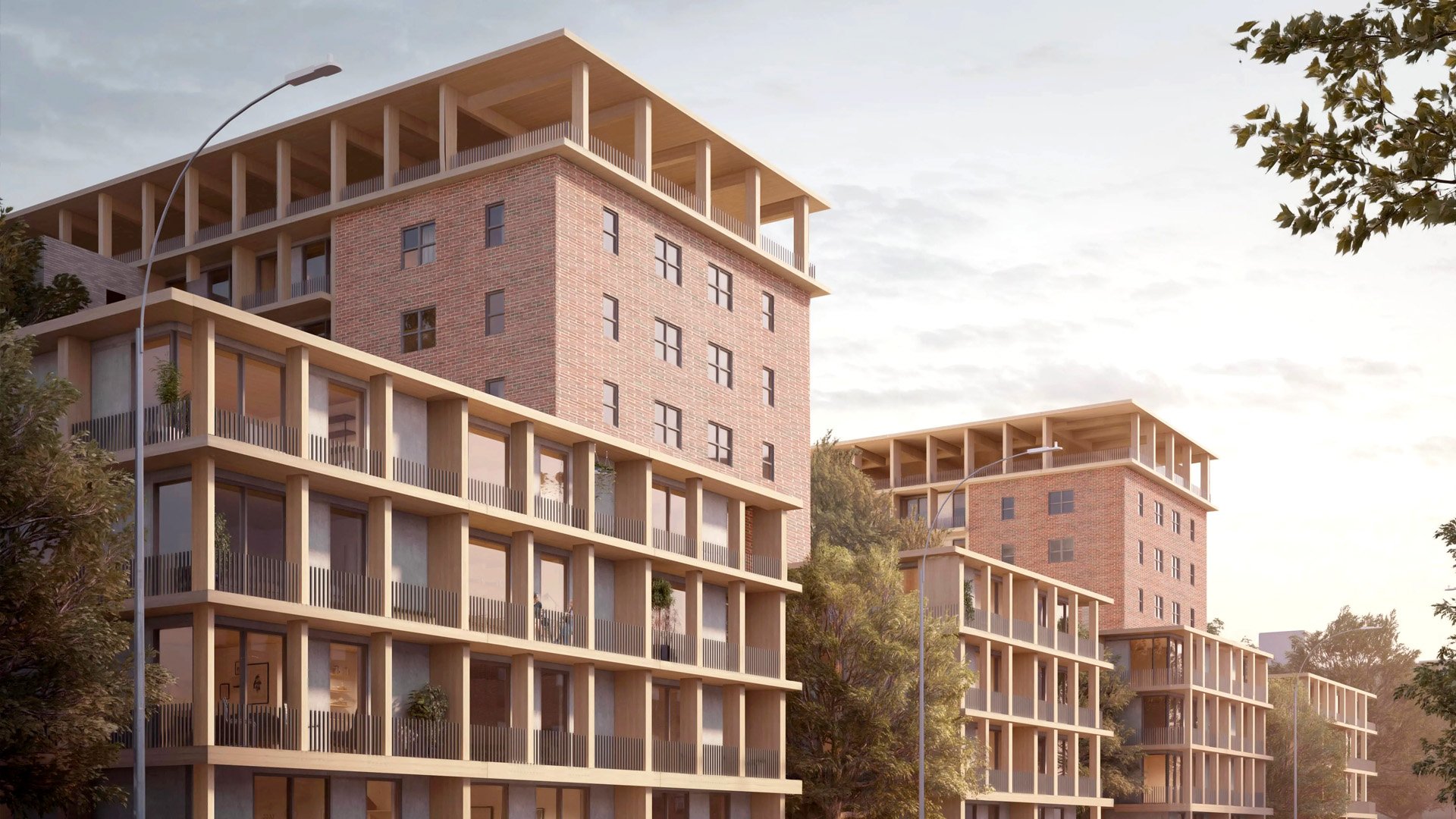 Mass-timber-banner