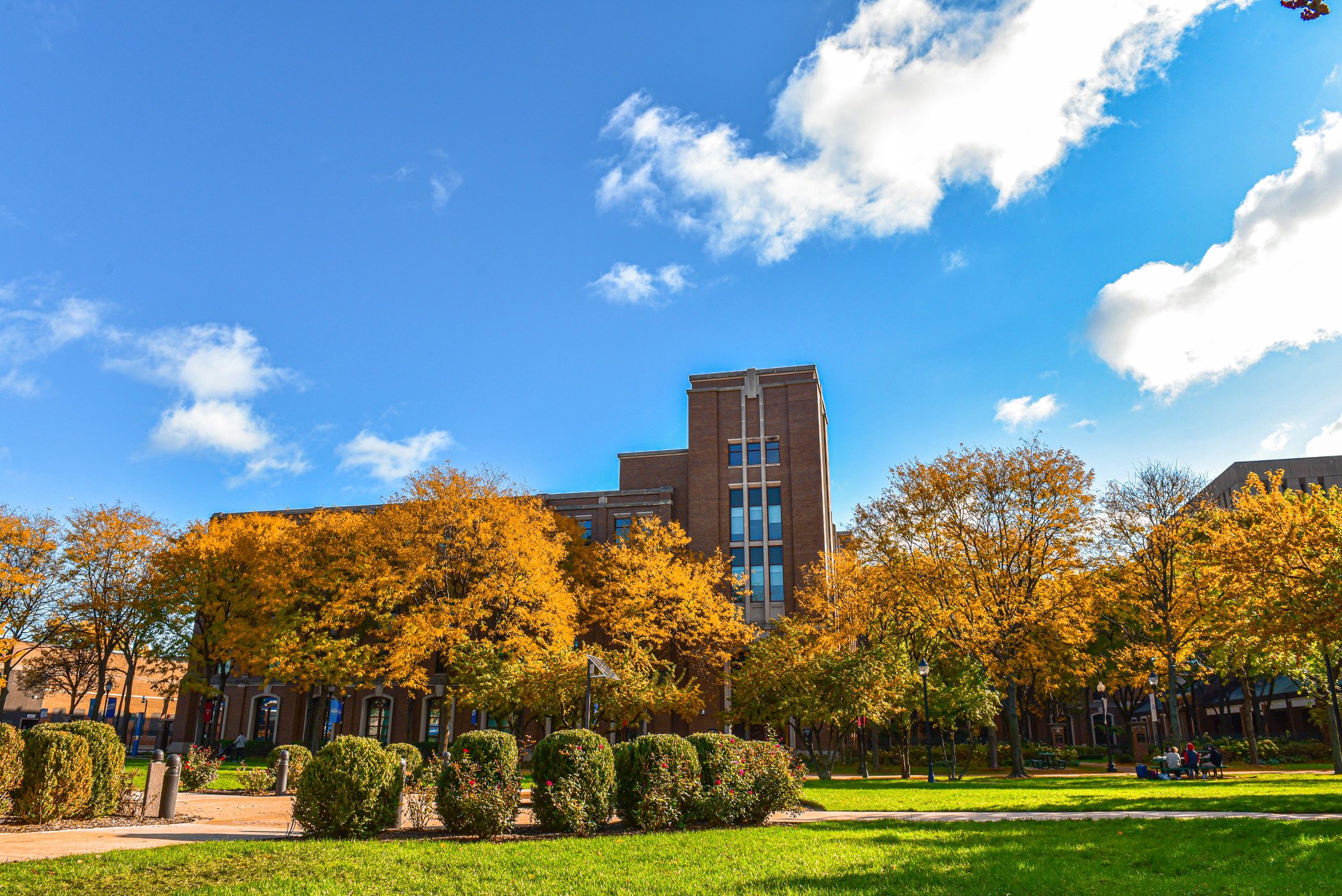 Depaul University Faculty & Staff Directory | DePaul University - Chicago, IL