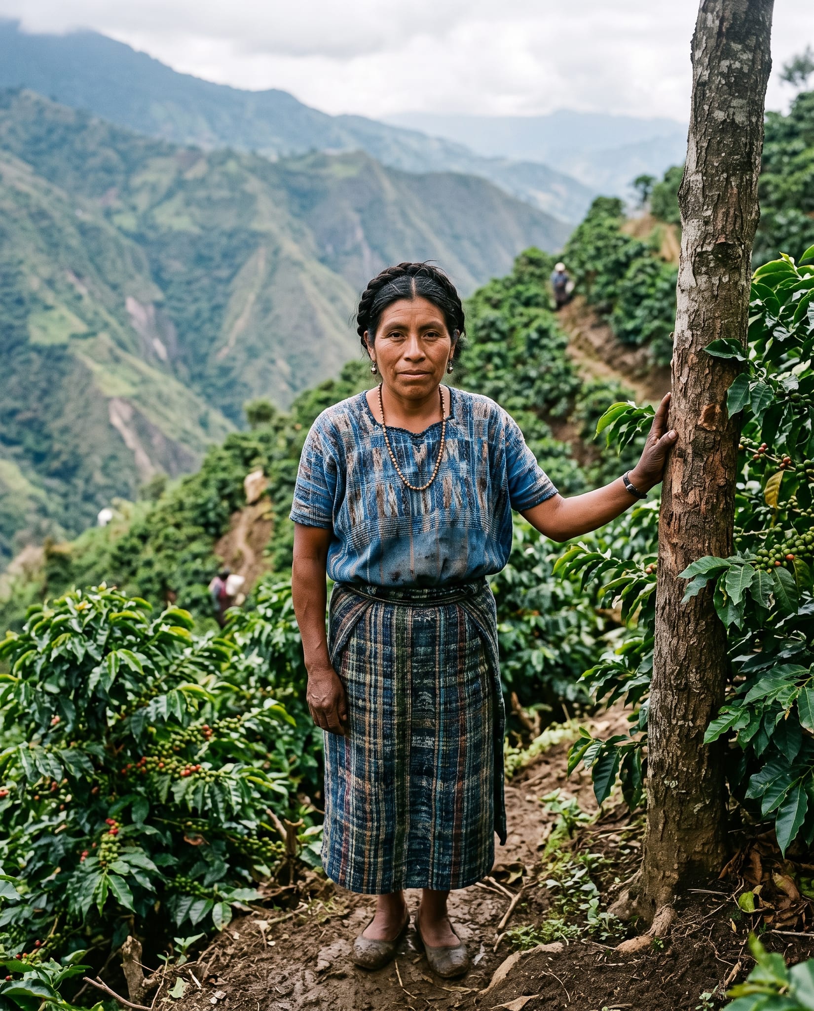 Marisol Xoc on the steep coffee slope her father planted in La Libertad, Huehuetenango