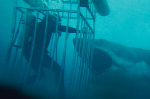 JaWS