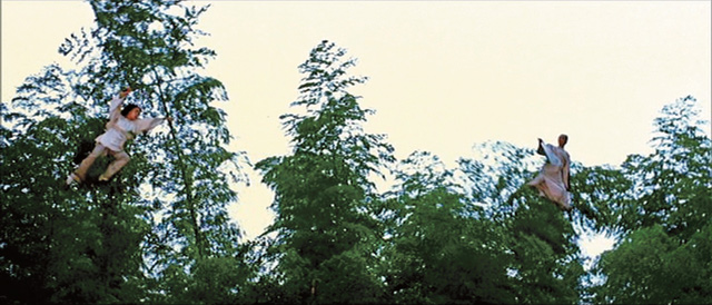 Crouching Tiger - 10