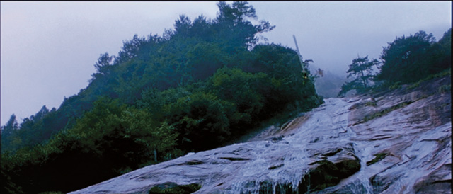 Crouching Tiger - 13