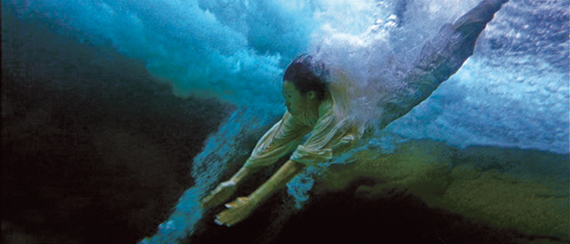 Crouching Tiger - 14