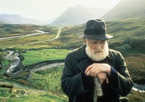 Jim Sheridan The Field