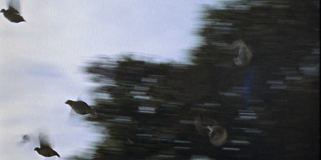 Bonnie and Clyde - 4