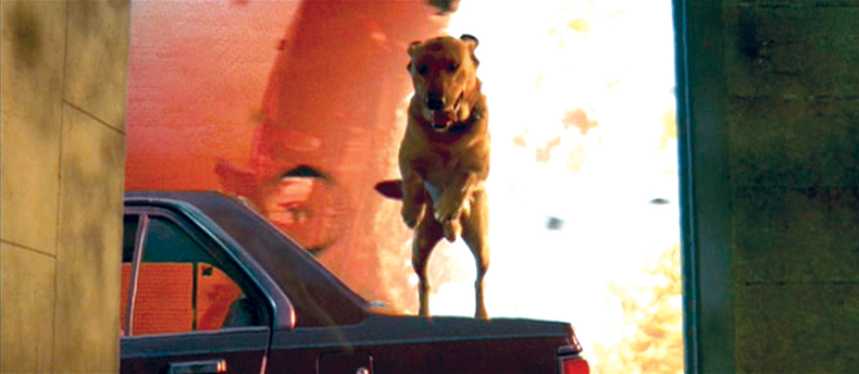 DGA Quarterly Shot to Remember Independence Day