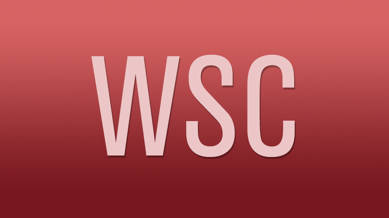 DGA Women's Steering Committee