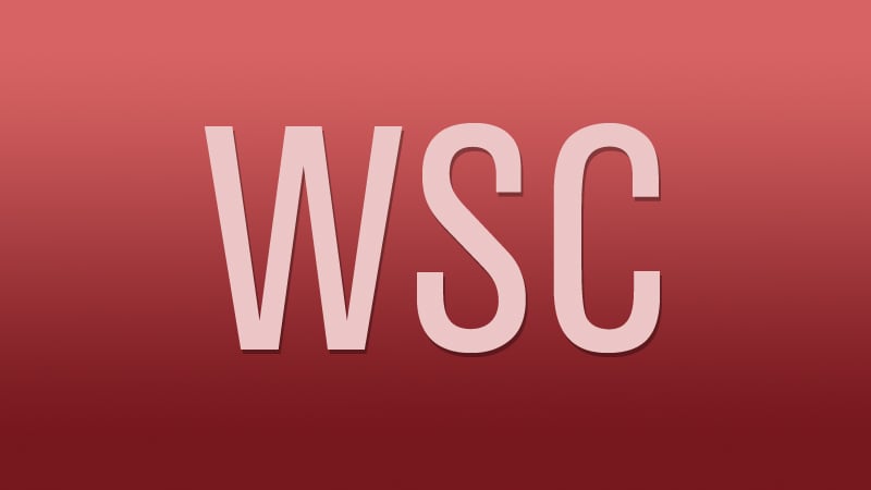 Womens Steering Committee