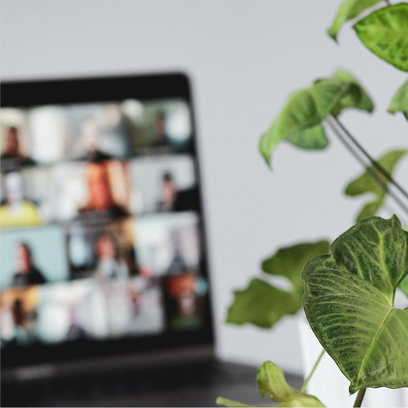 Computer and plant to illustrate Data Privacy and Cybersecurity