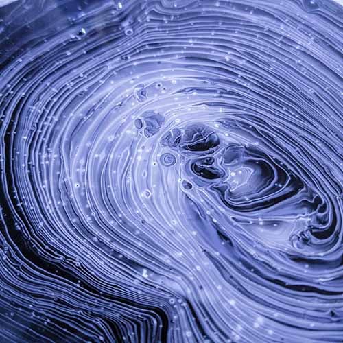 Abstract organic shape