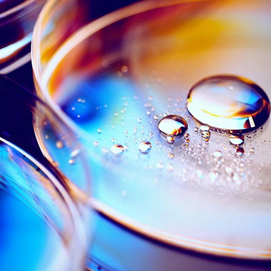 Petri Dishes