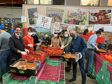 Produce Packing at Leket