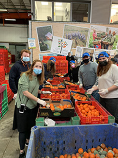 Produce Packing at Leket