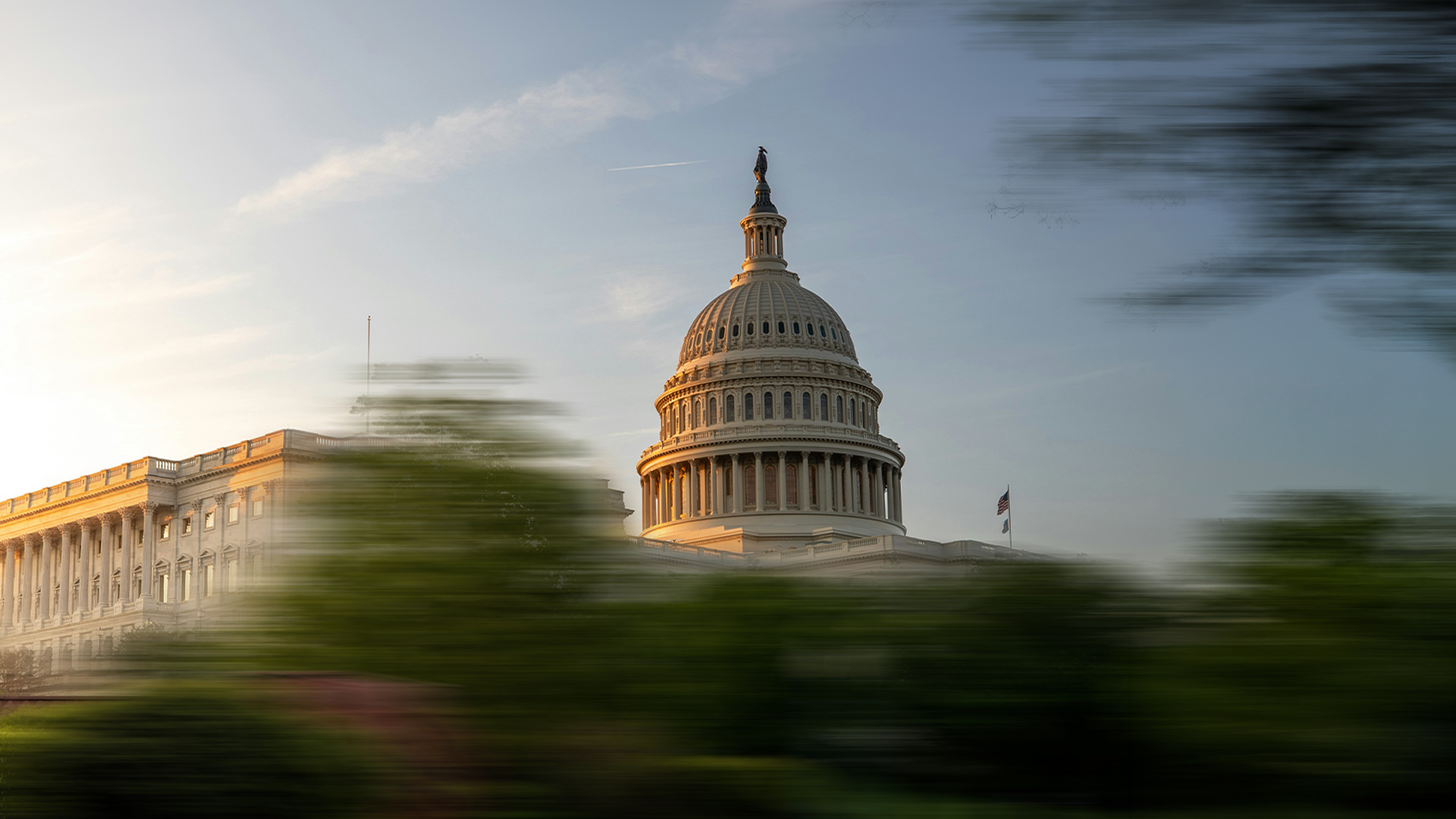 Congressional Investigations