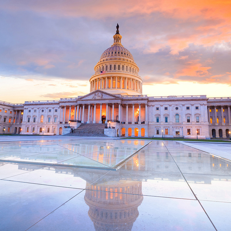 US Govt Affairs Capabilities