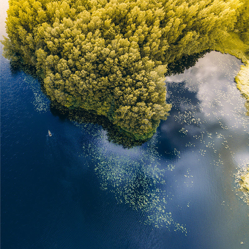 Website_Capabilities_067-Environment-Health-and-Safety