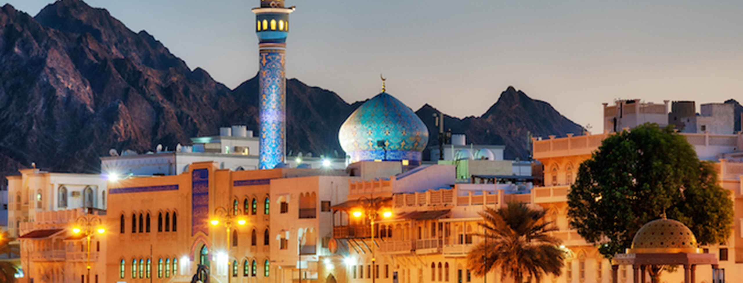 Middle East Initiative