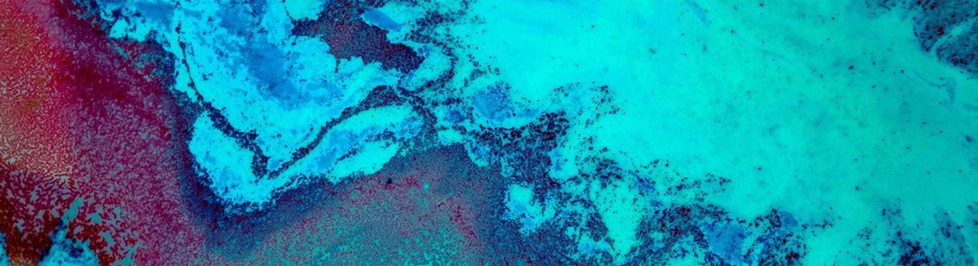Abstract_Liquids_P_0664_PPT