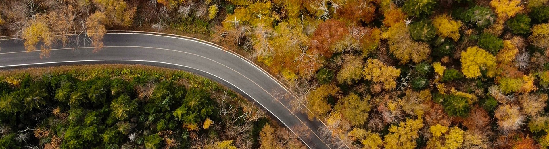 Aerial_View_Of_Forest_Road_P_1179