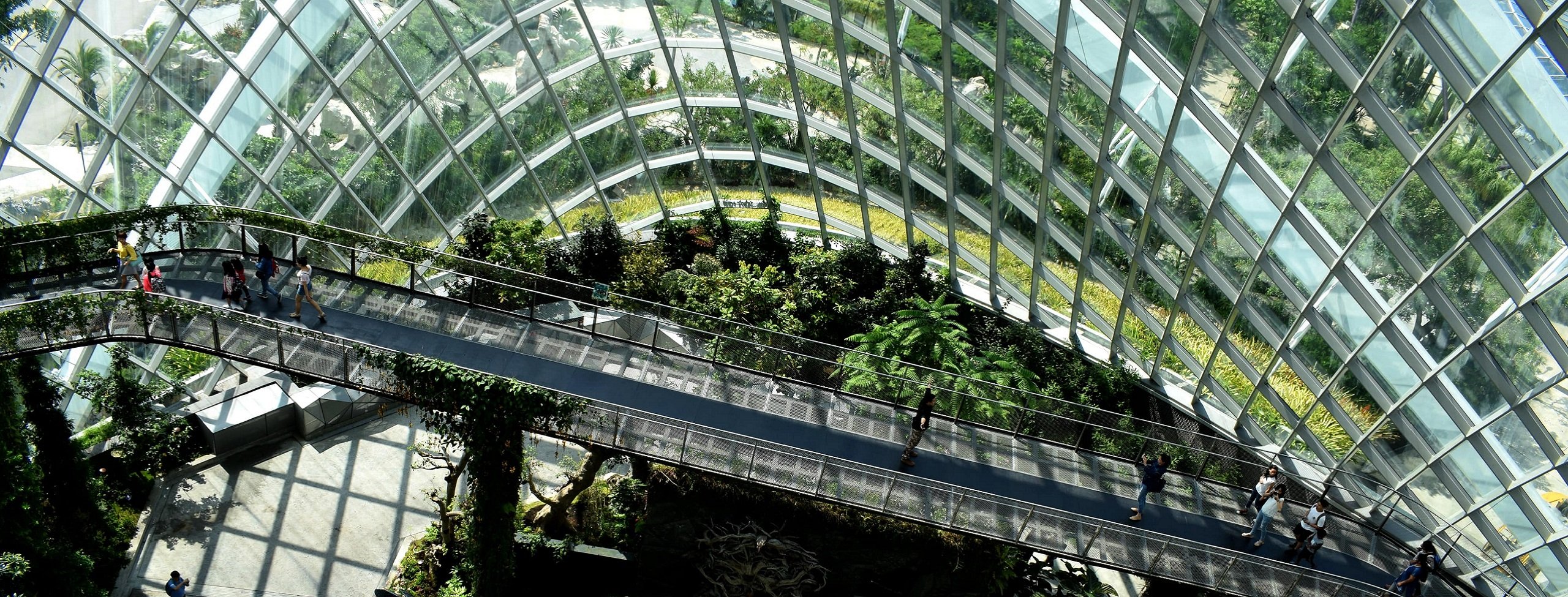 Glass building walkway