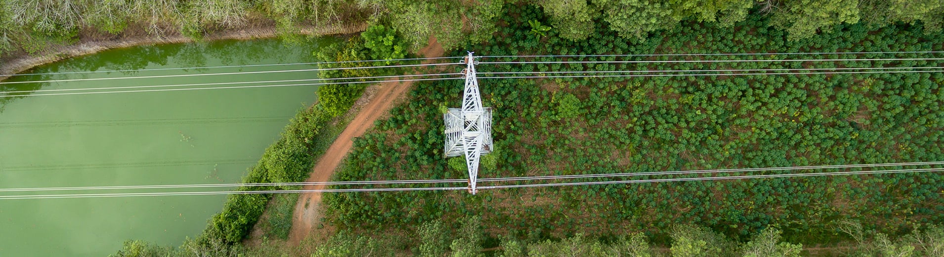 Aerial_View_Powerlines_in_Forest_S_2306