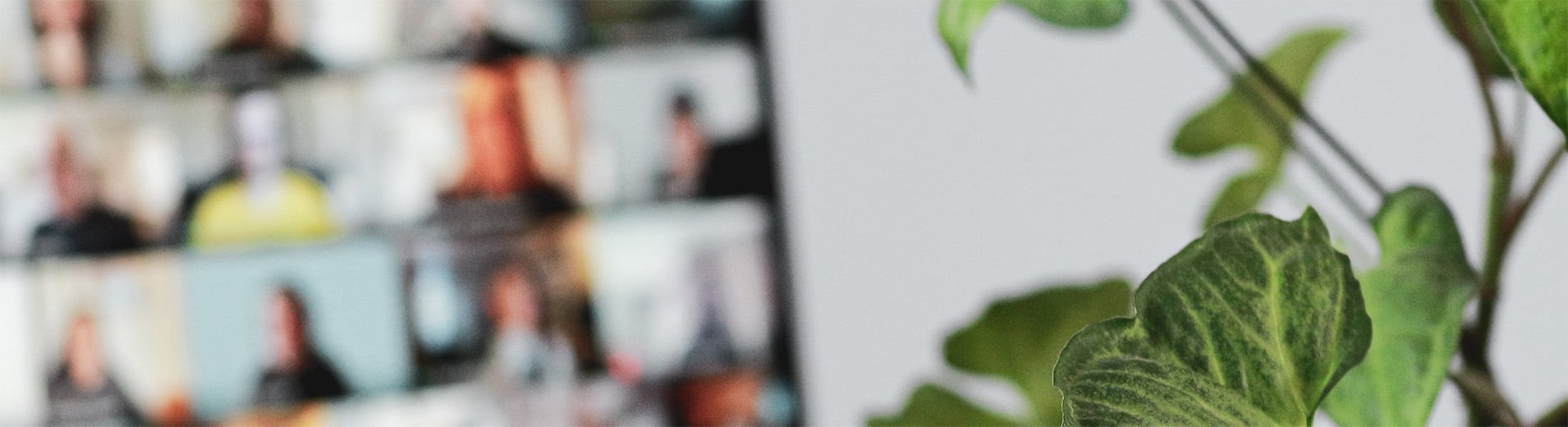 Blurred video conference