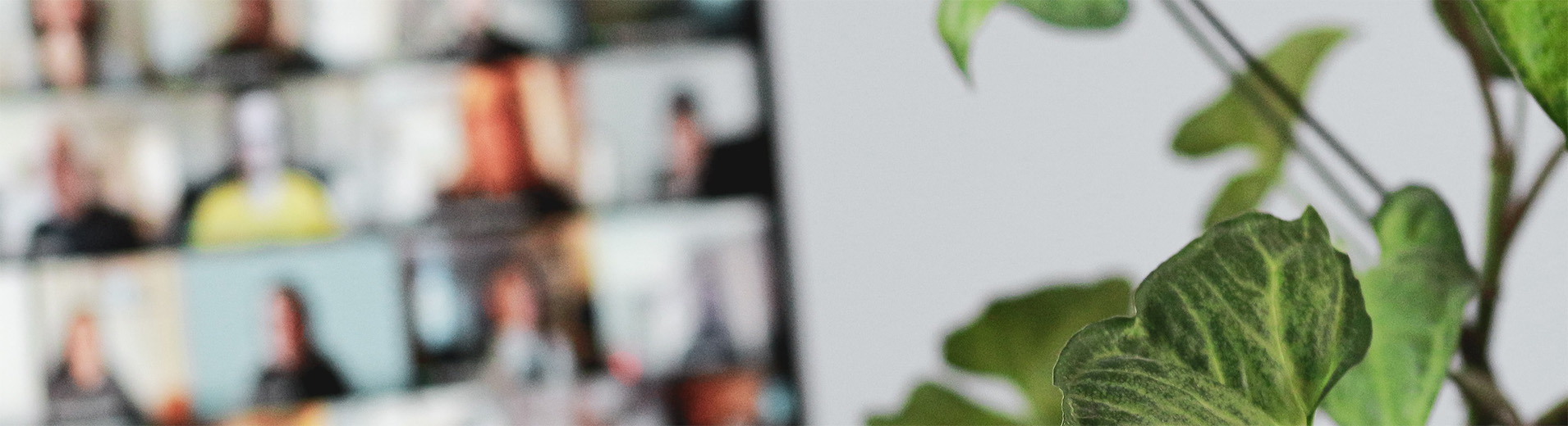 Blurred video conference