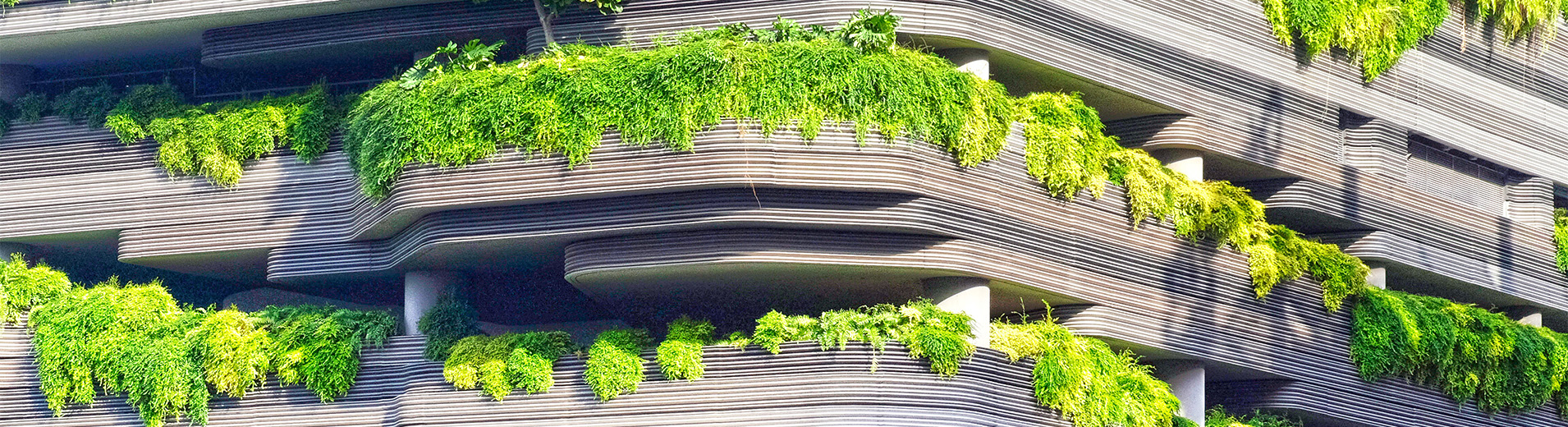 Sunshine on green hills