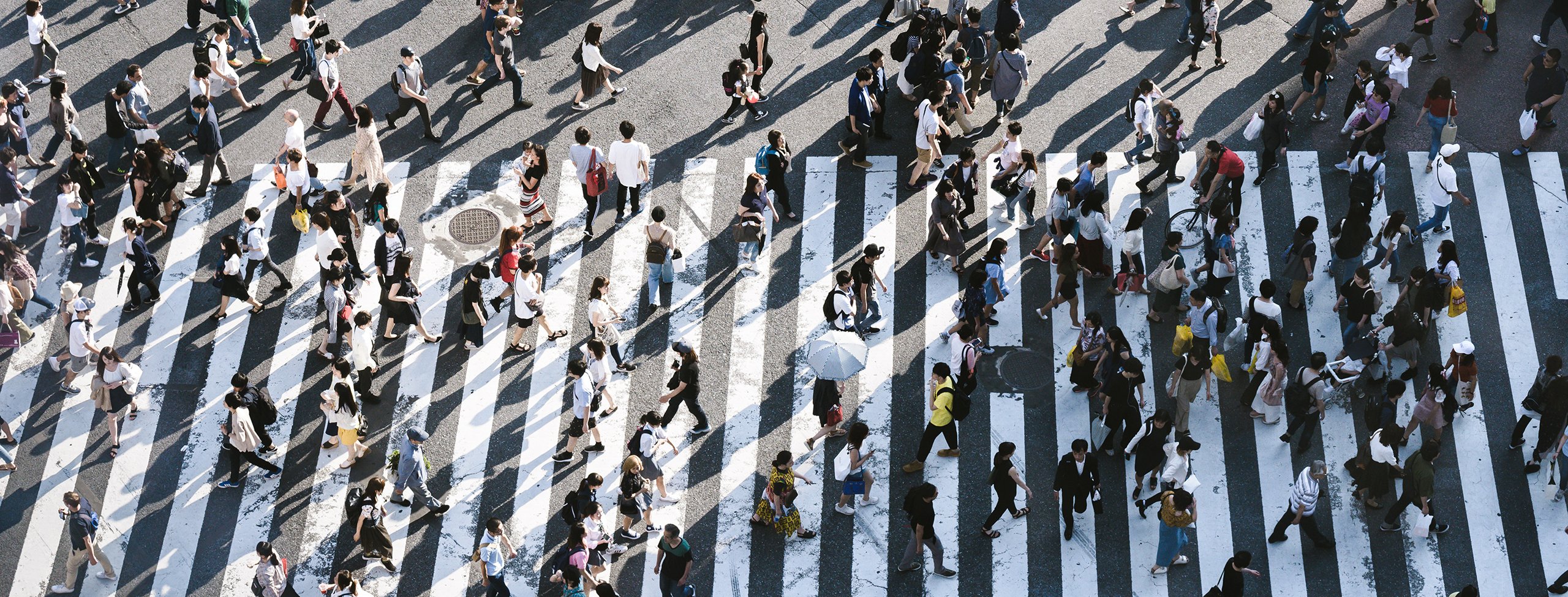 Busy_Crosswalk_P_0173