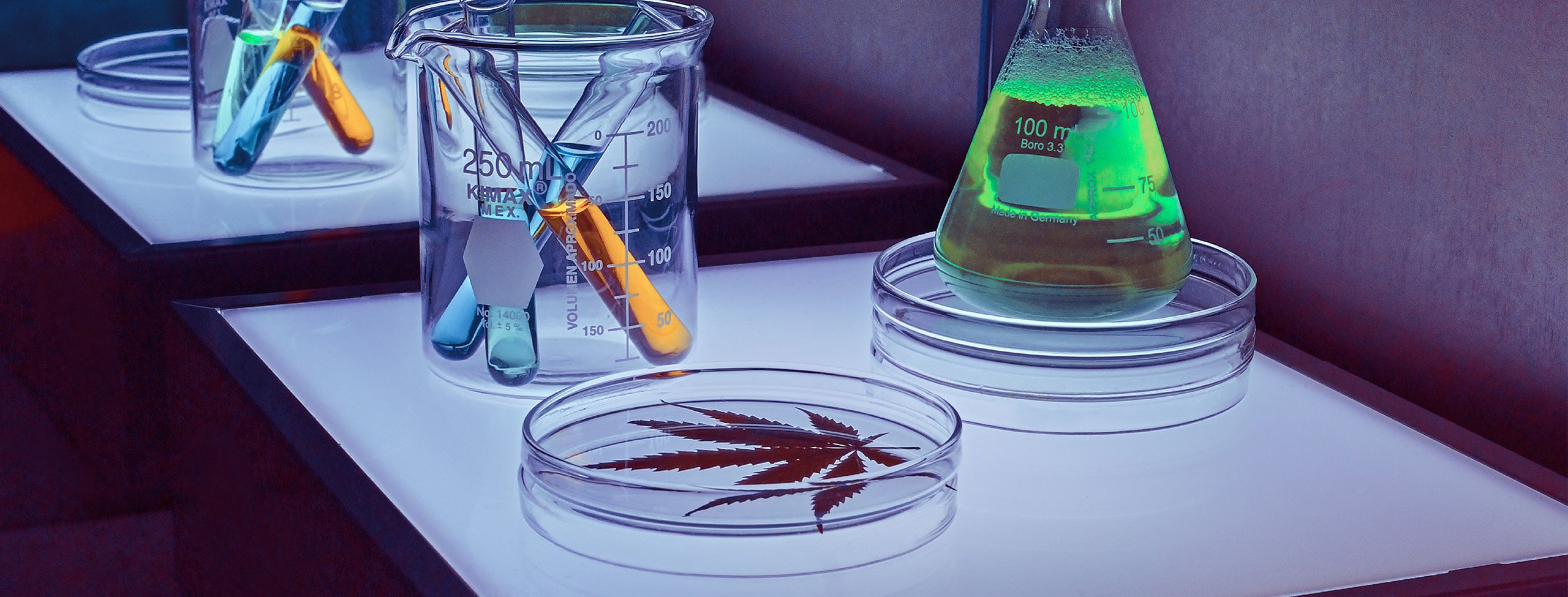 Cannabis Regulation in Peru