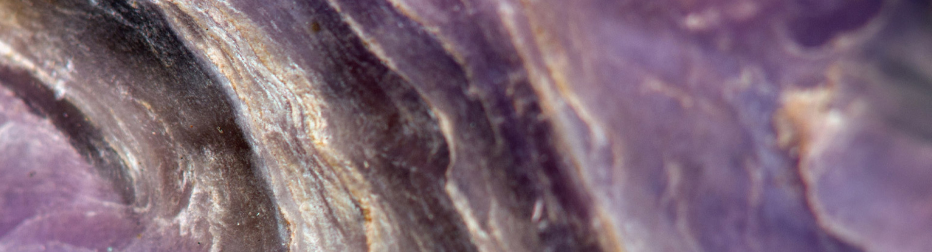 Charoite_mineral