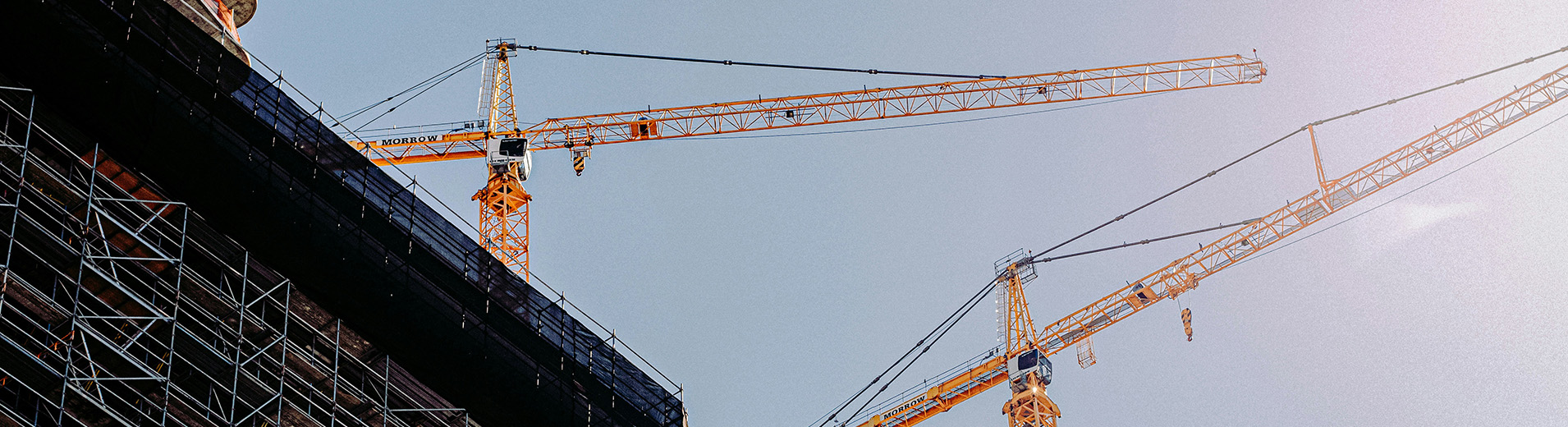 Cranes_PPT