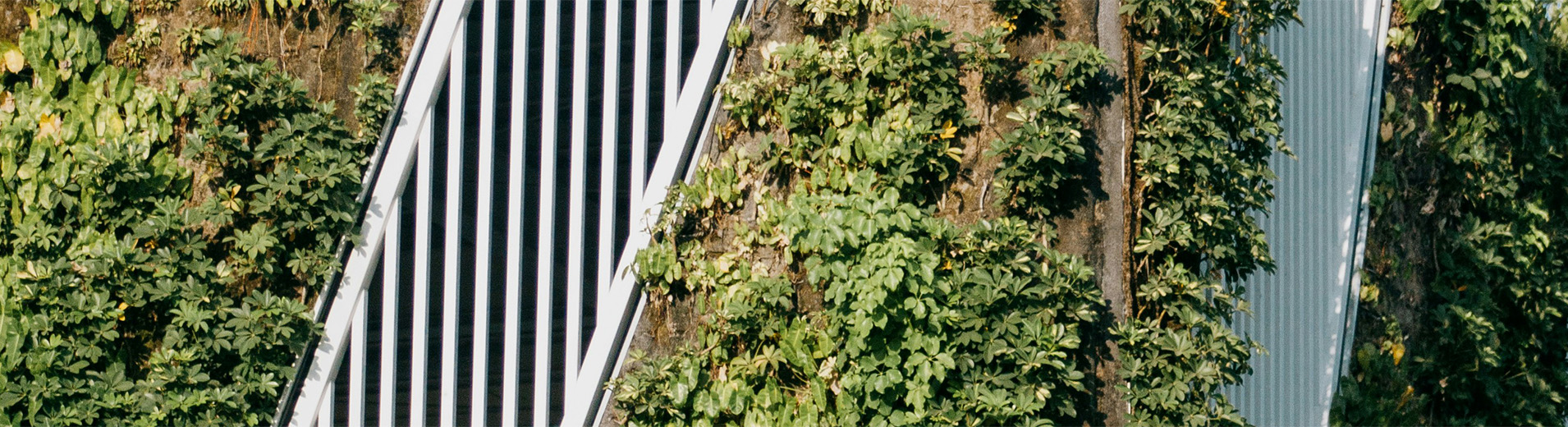 Green_Building_P_27361910520