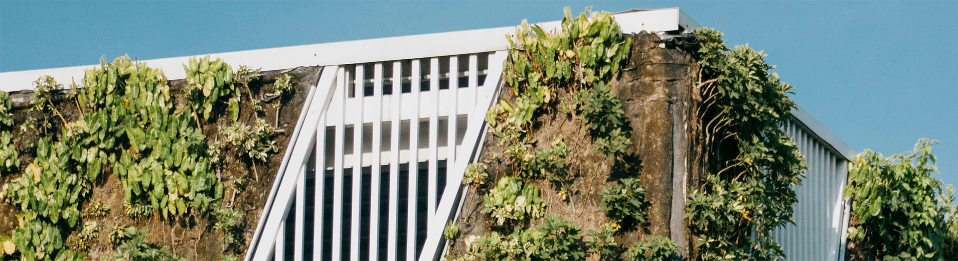 Green_Building_P_27361910520cropped