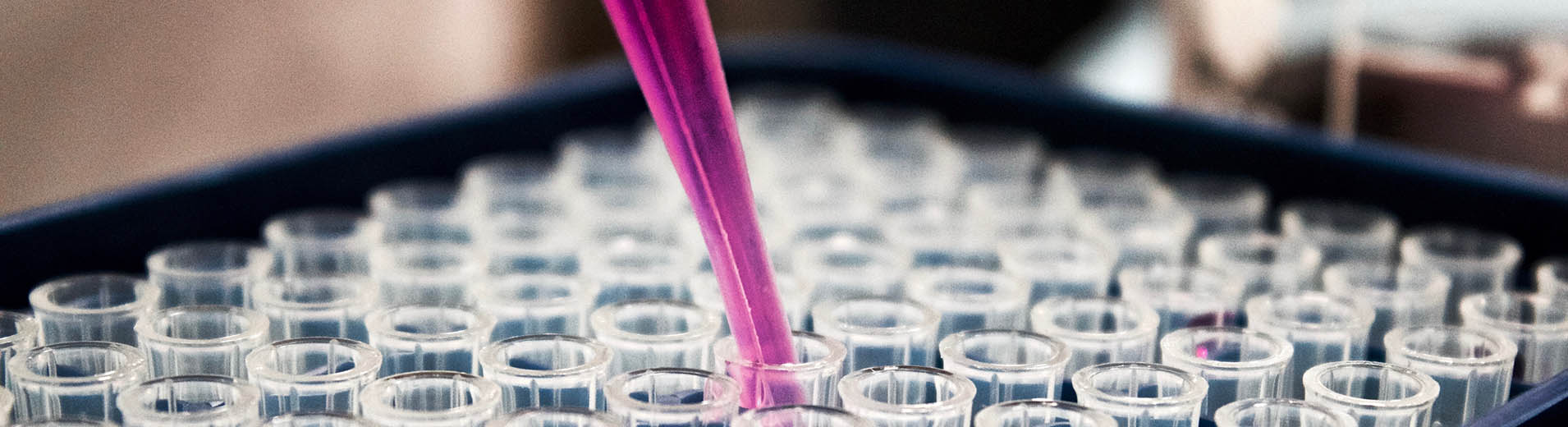 Laboratory_Pipette_S_0288