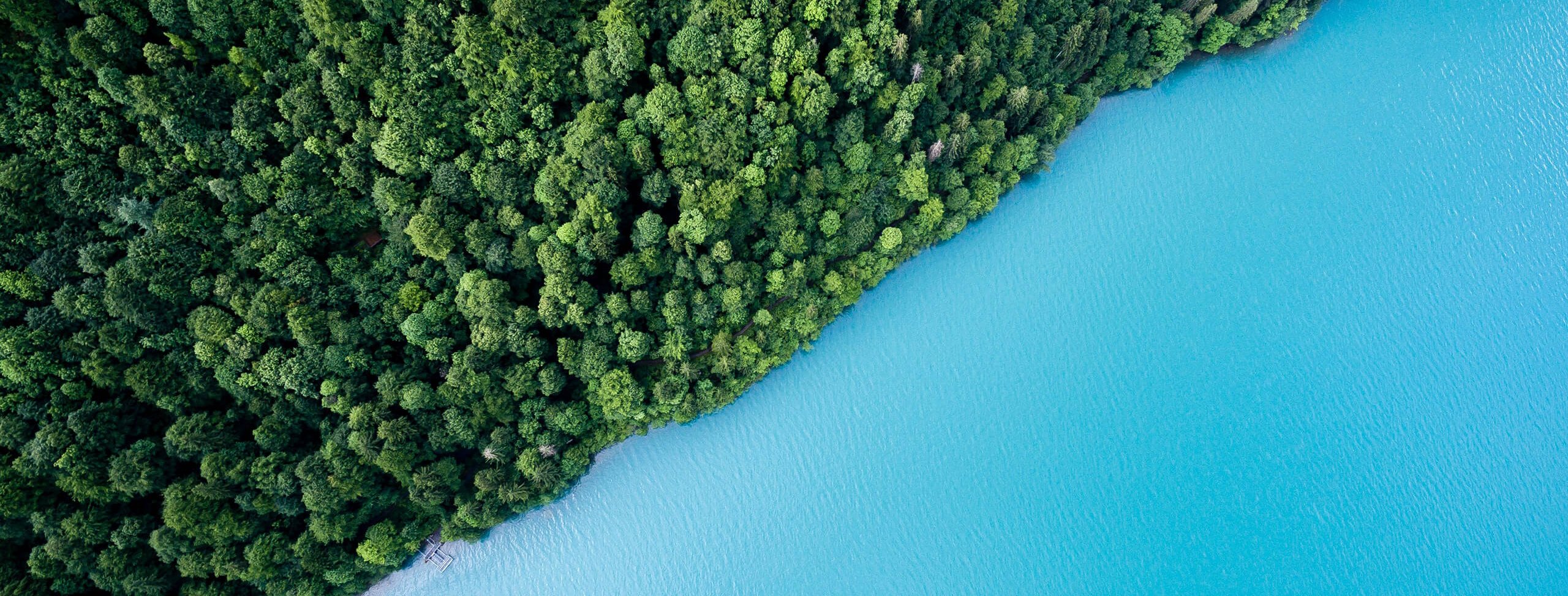 Lake_Brienz_ Switzerland_P_1003