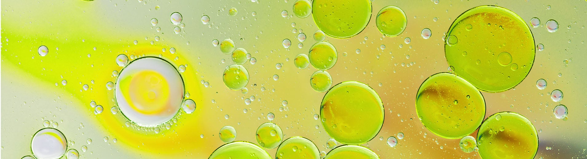 MA report cover image 2023