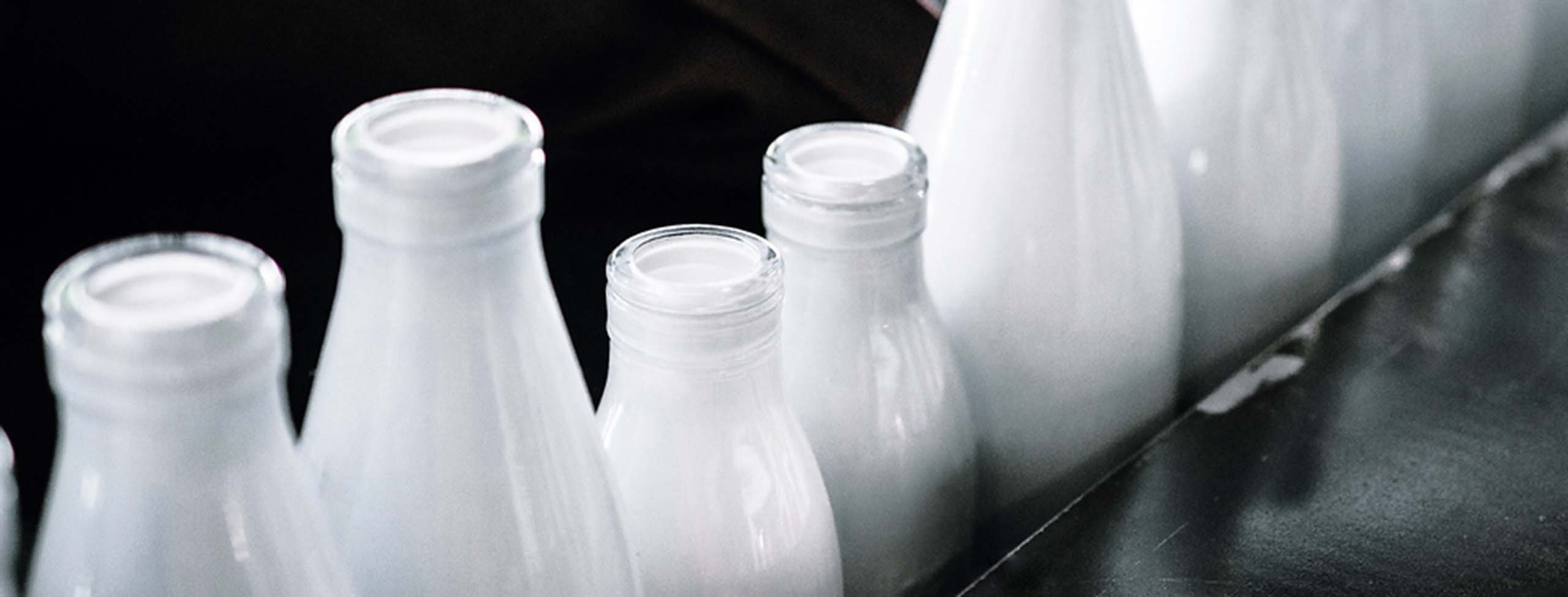 Milk_Bottles_S_0535-X2