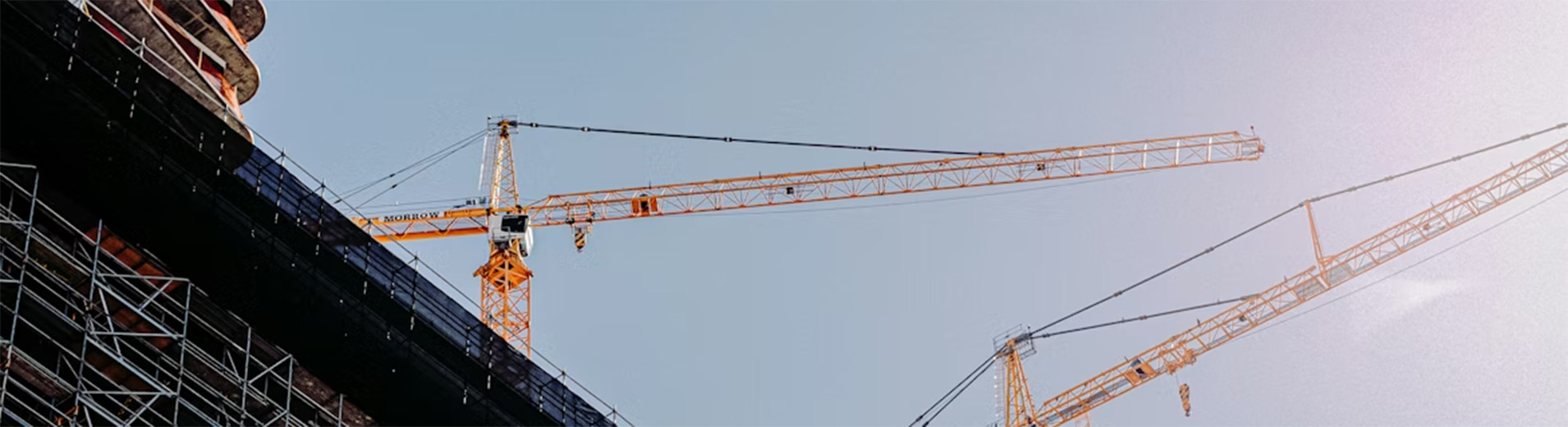 photo-1599707254554-027aeb4deacdcranes