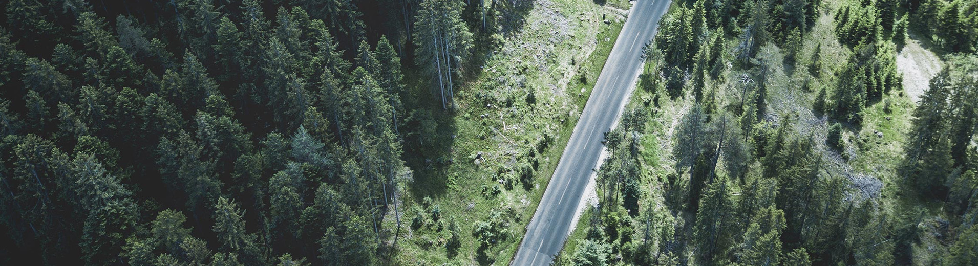Road_Forest_Aerial_View_S_0412