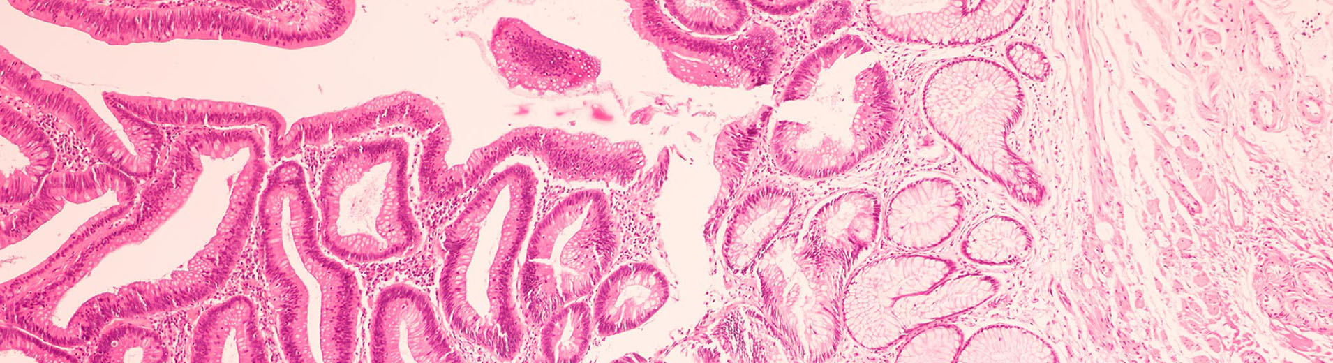 shutterstock_1662980344_PPT