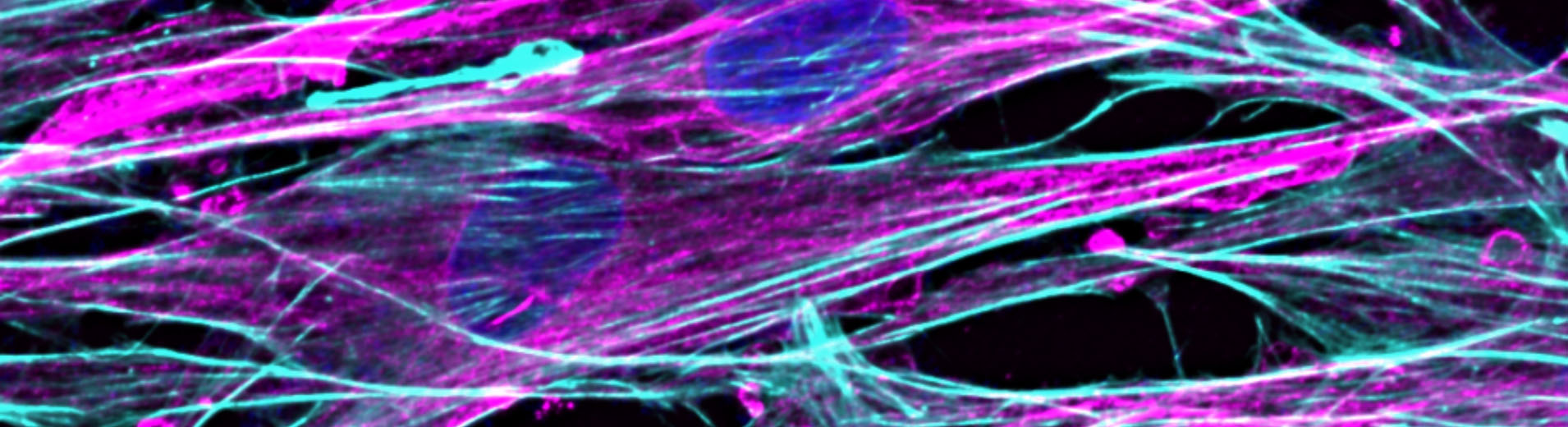 shutterstock_2262879085