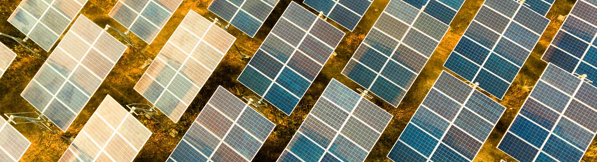 Solar_Farm_sunset_S_0843