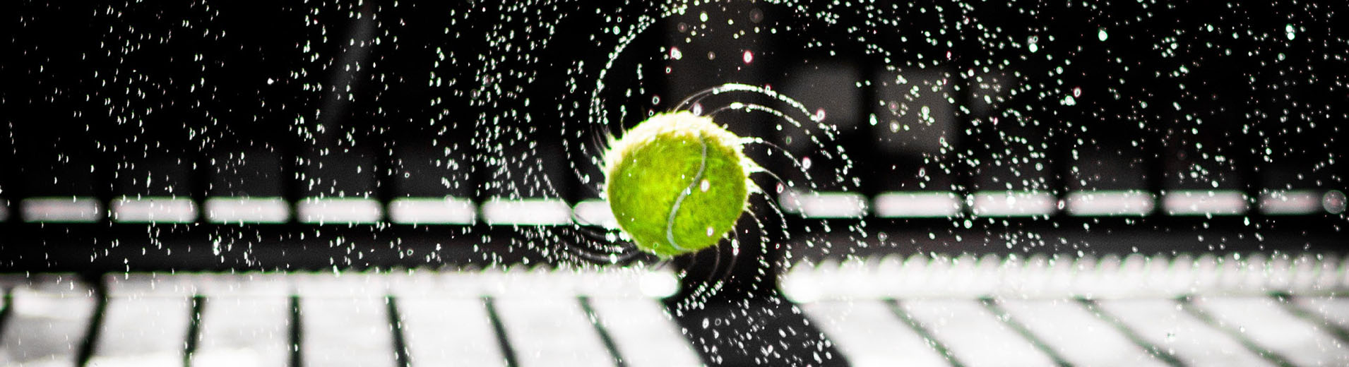 Tennis_Ball_in_Motion_S_0456_PPT
