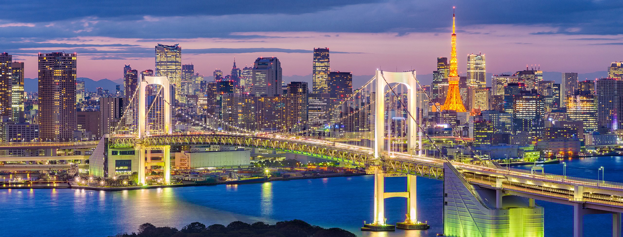 Tokyo_Japan_Bridge_L_0343