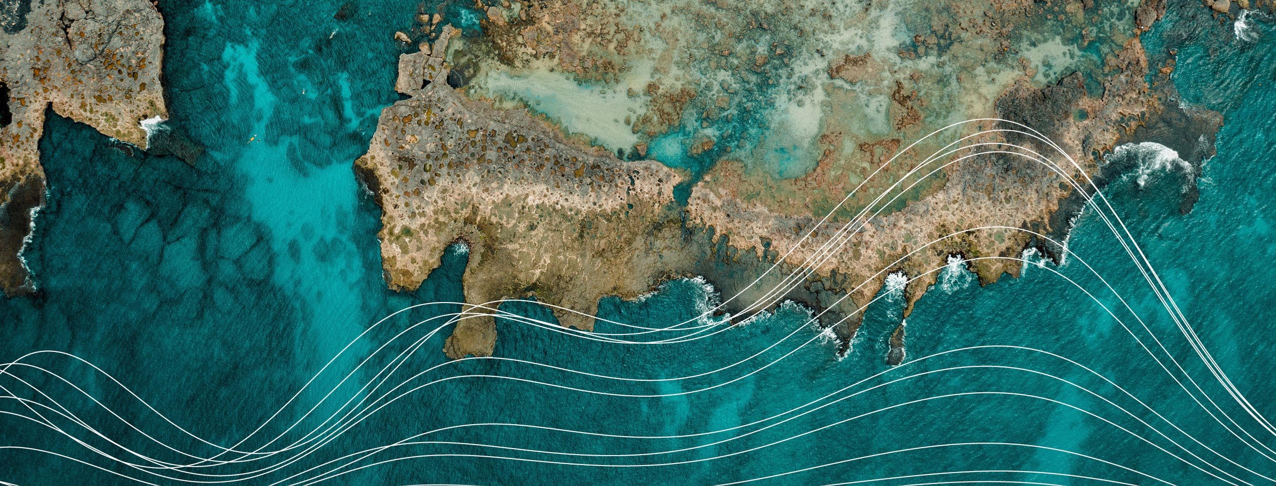 Aerial view of coral