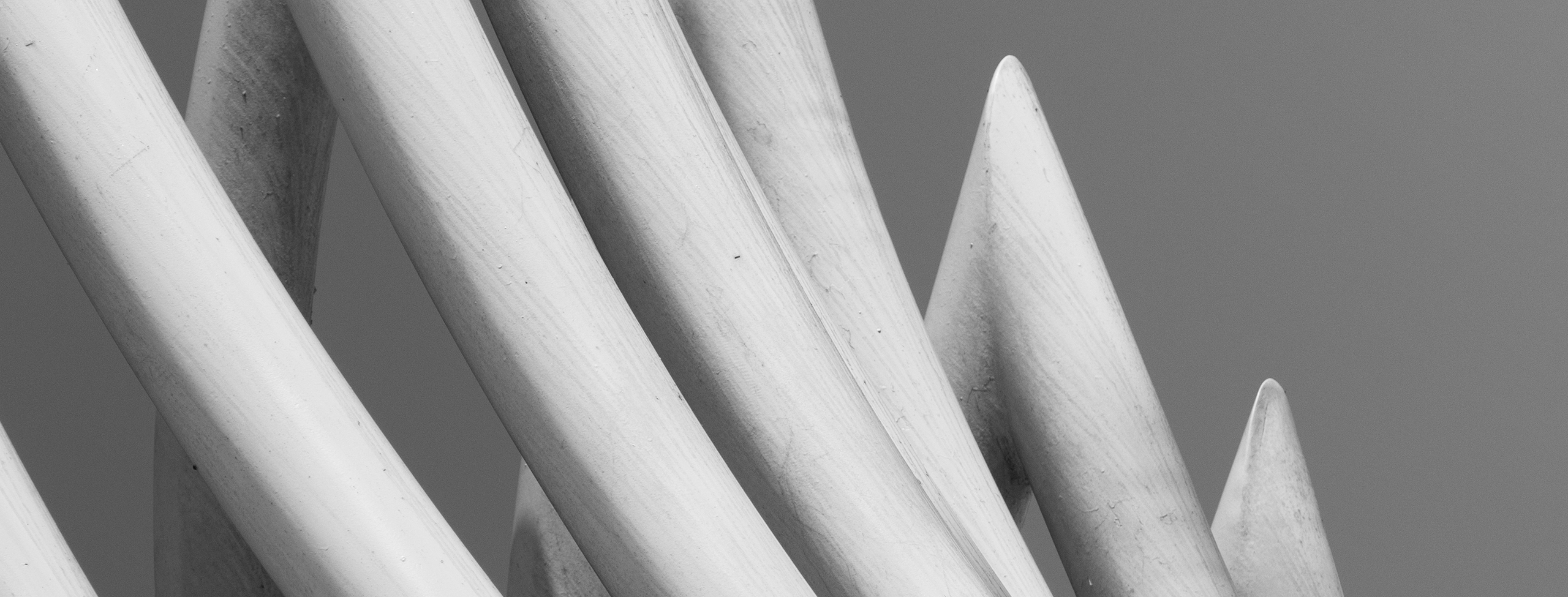 White_Curve_Construction_P_1047