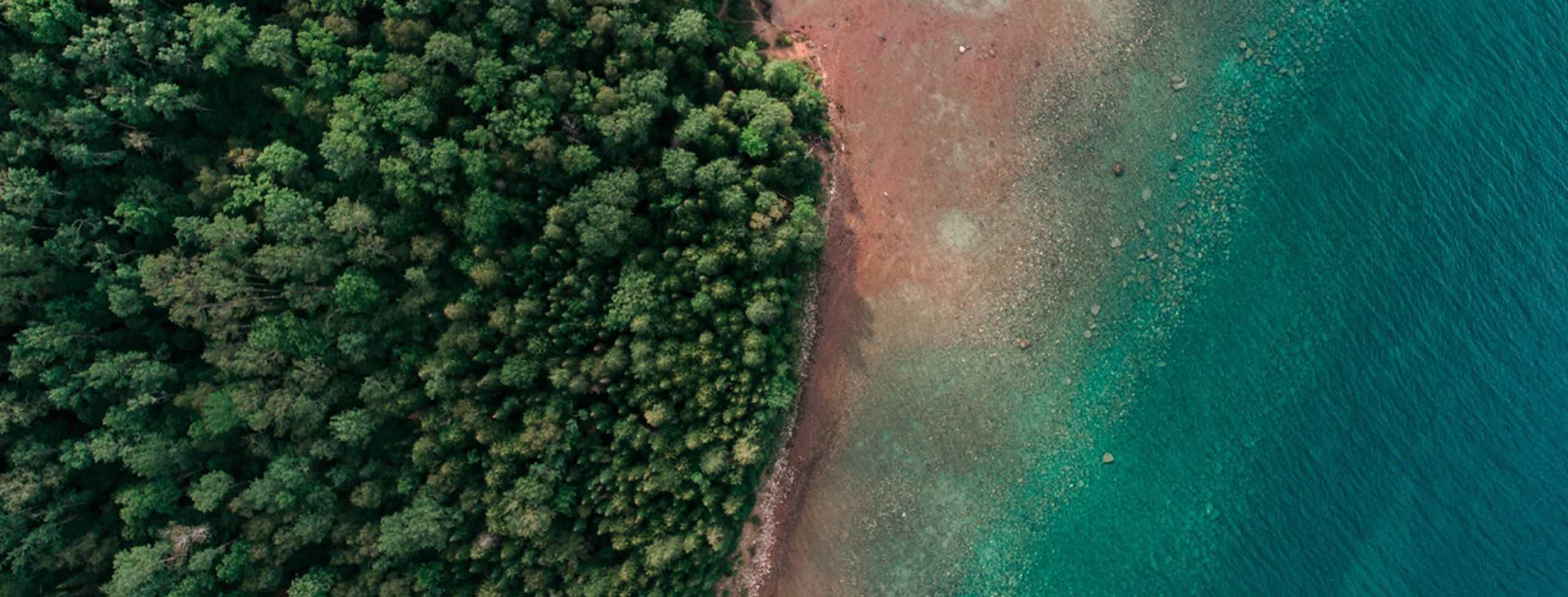 Navigating Climate COP